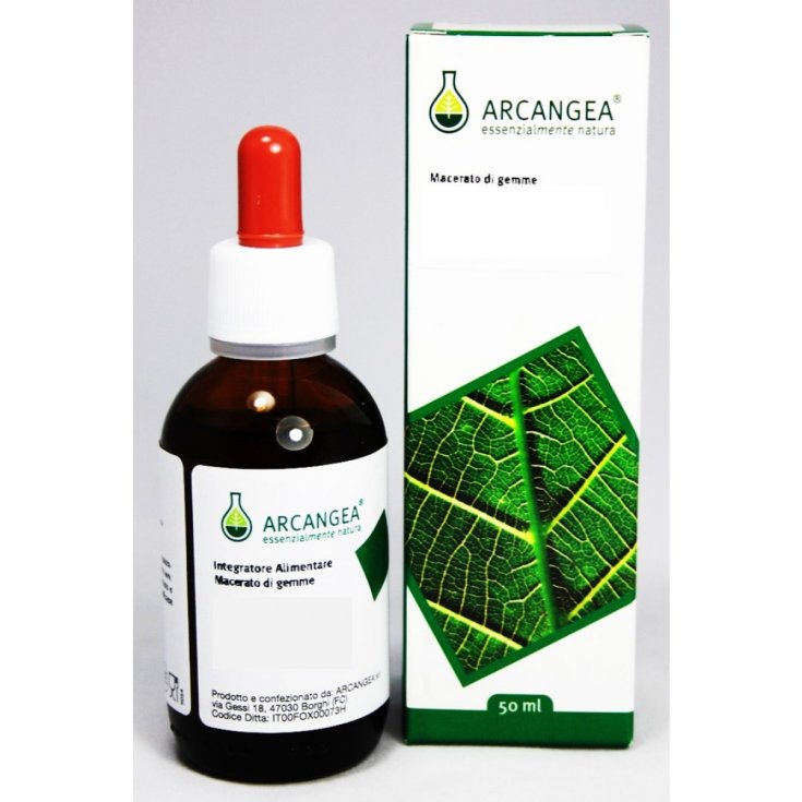 Arcangea Tilia Tomentosa Bud extract 100ml