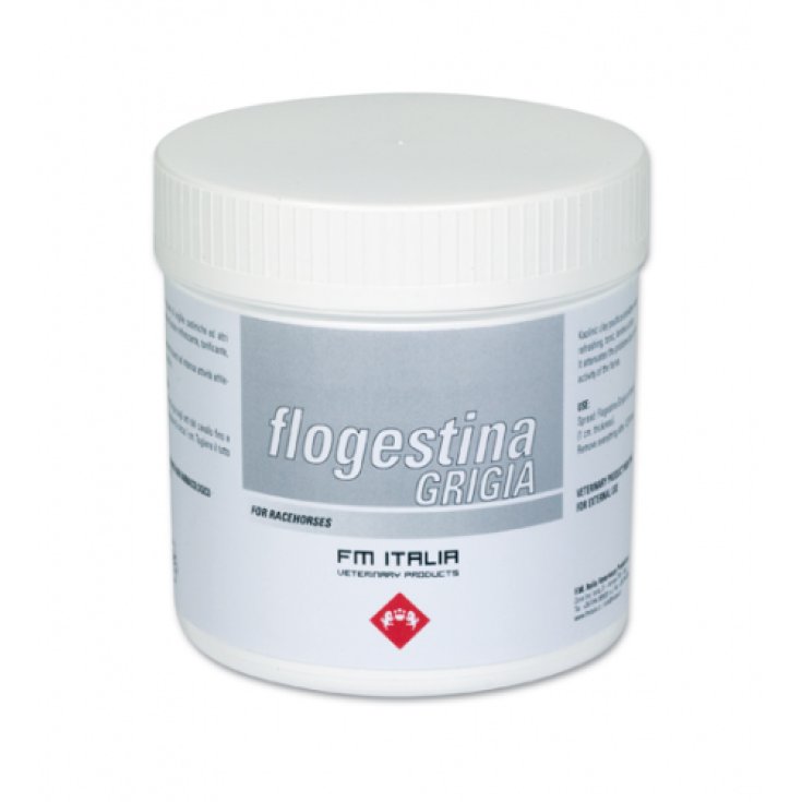 FM Italia Flogestina Gray Mineral Paste For Horses 1kg