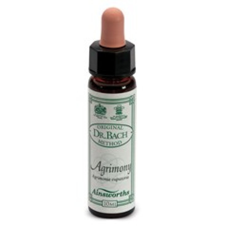 Santiveri Ainsworths Agrimony Food Supplement 10ml