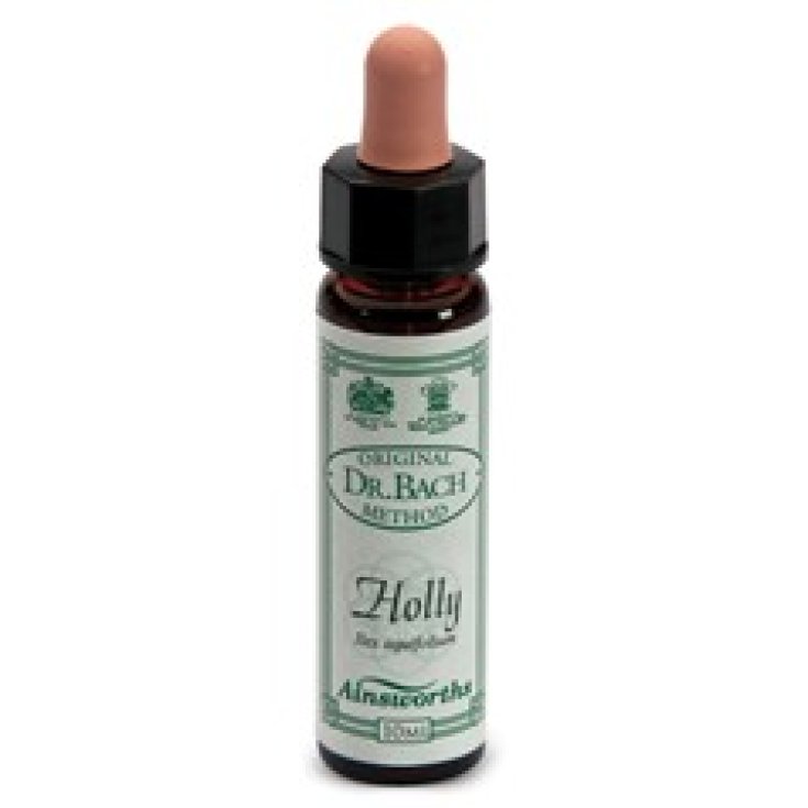 Santiveri Ainsworths Holly Food Supplement 10ml