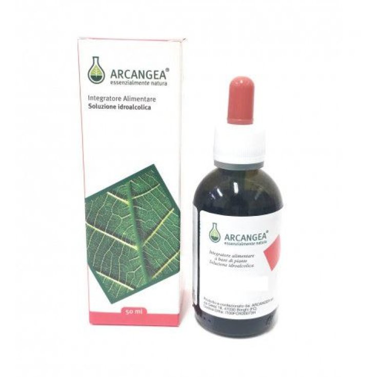 Arcangea Carpinus Betulus Circulatum Food Supplement 50ml