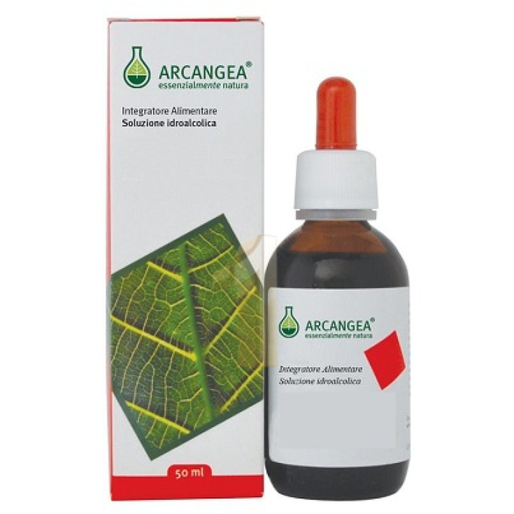 Arcangea Ficus Carica Circulatum Food Supplement 50ml