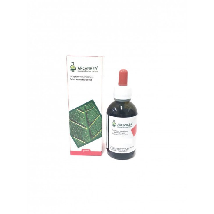 Arcangea Fumaria Hydroalcoholic Solution Food Supplement 50ml