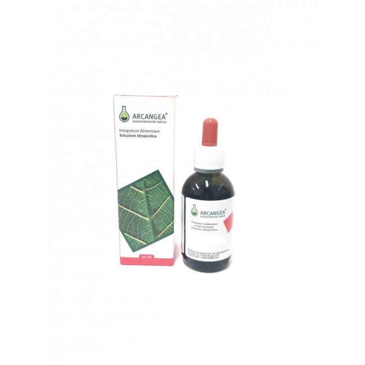 Arcangea Guarana Hydroalcoholic Solution Food Supplement 50ml