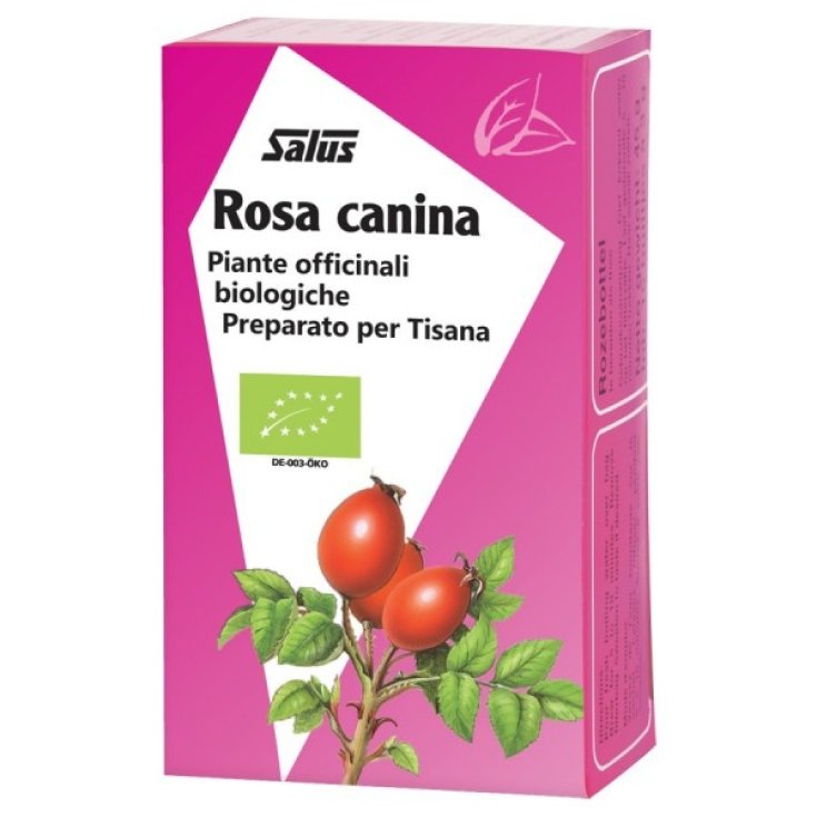 Salus Rosa Canina Organic Herbal Tea 15 Filters