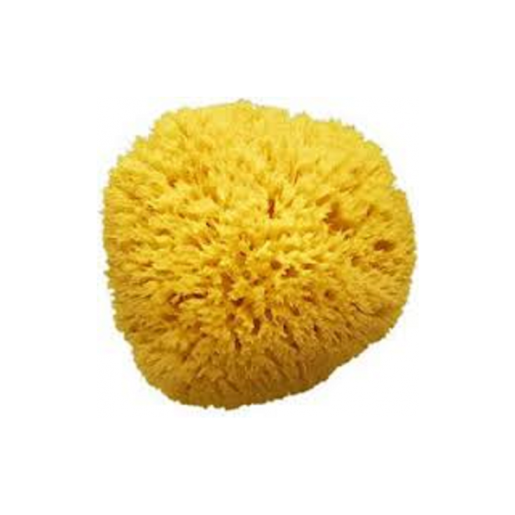 Amidosan Natural Sea Sponge Size 09