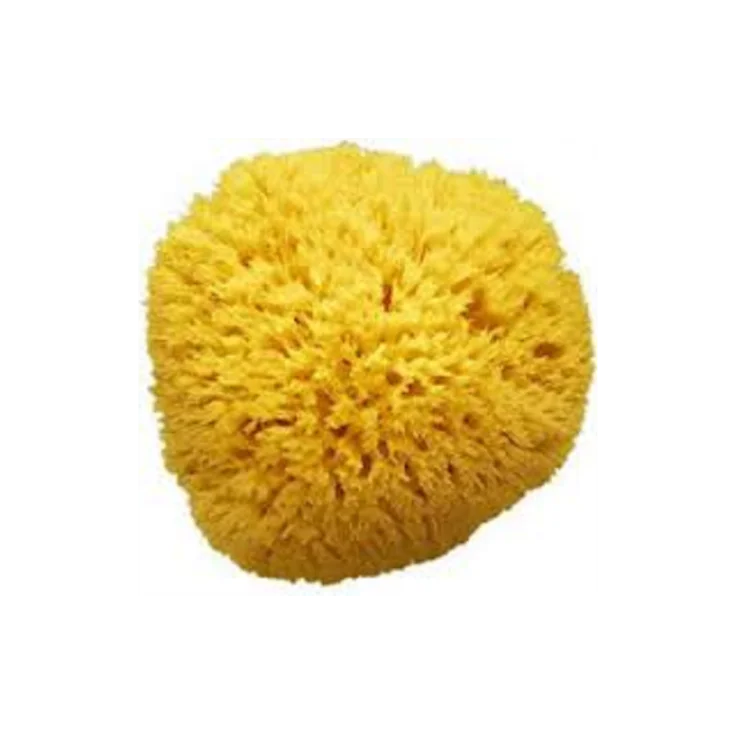 Amidosan Natural Sea Sponge Size 09