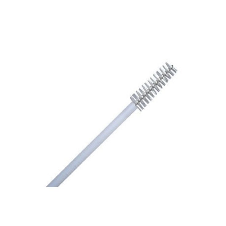 Pharmacare Endocervical Sampling Toothbrush 10 Toothbrushes