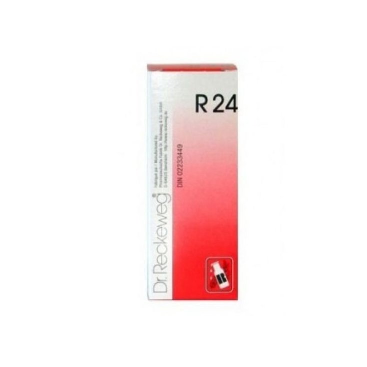 Dr. Reckeweg R24 Homeopathic Remedy In Drops 22ml