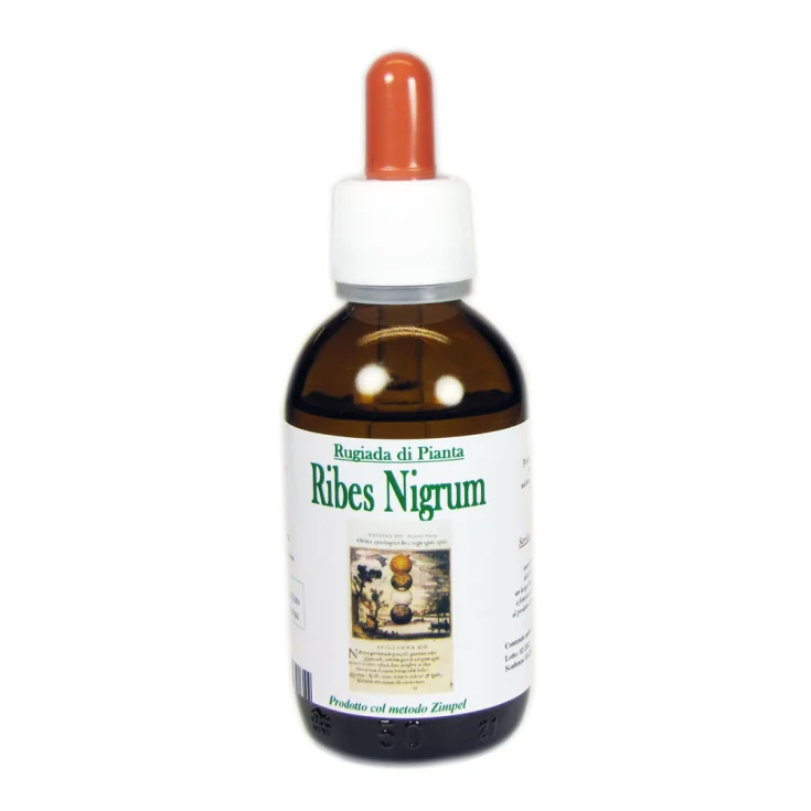 New Astrum Blackcurrant Dew 50ml
