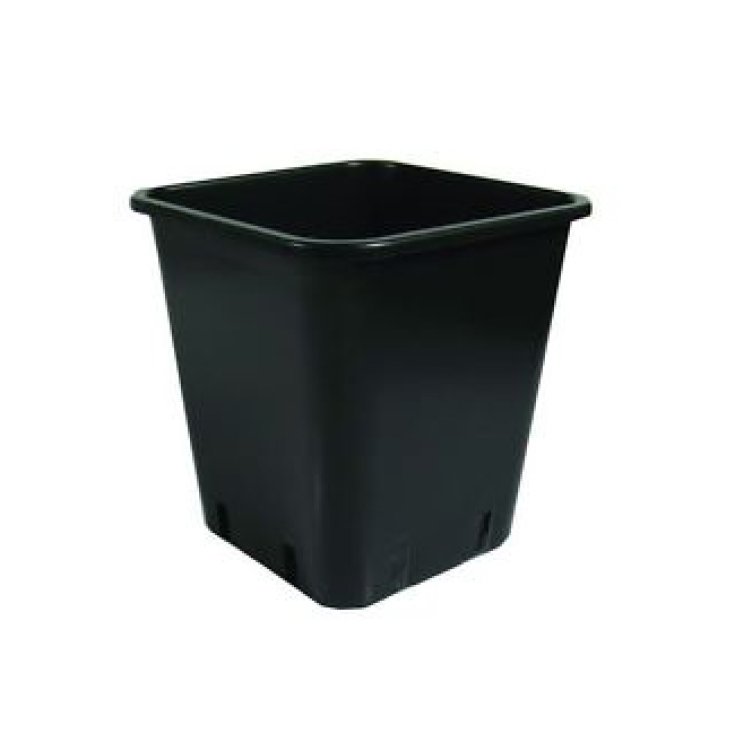 Wepa Square Dark Plastic Jar 300ml 10 Pieces