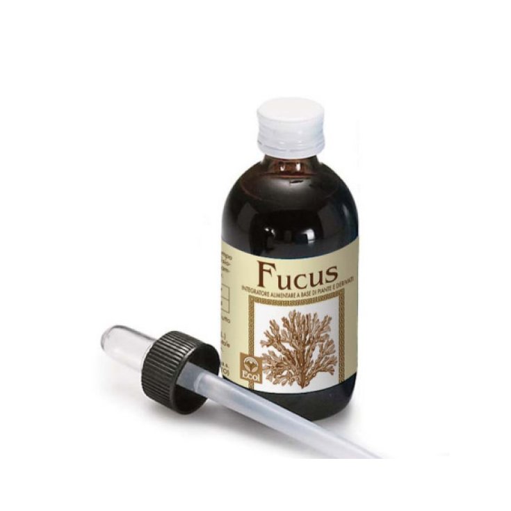 Fucus Extract Non-Alcoholic 50ml