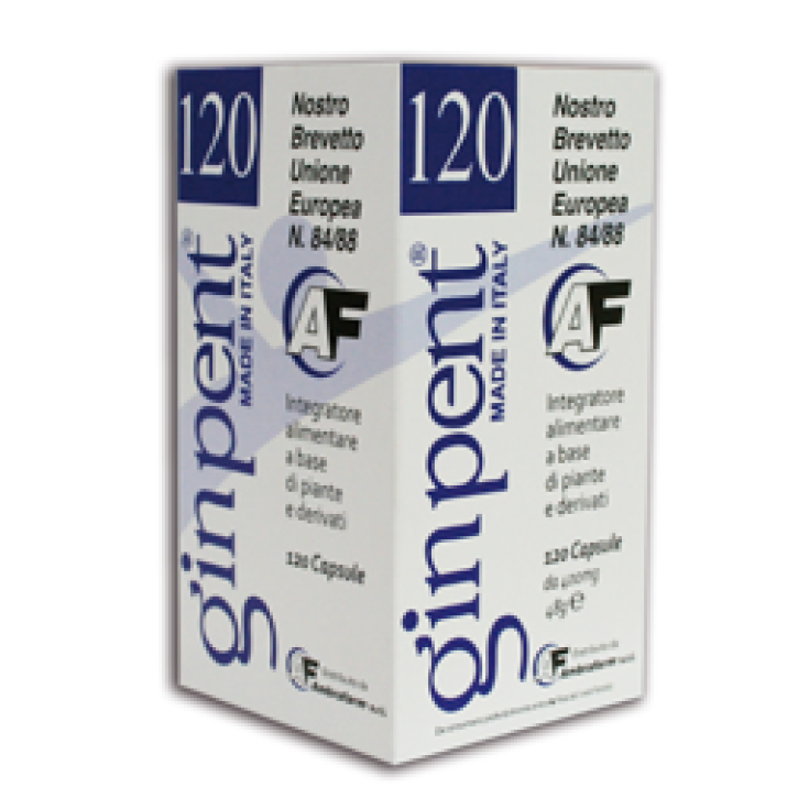 GinPent 120 Food Supplement 120 Capsules