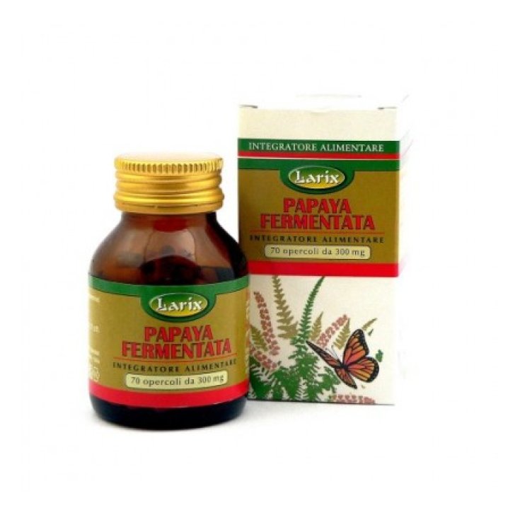 Larix Papaya Fermented Dry Extract Food Supplement 70 Capsules