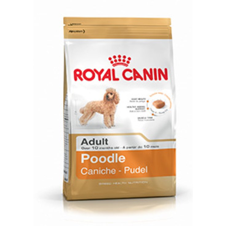 Royal Canin Breed Hn Poodle Feeding For Poodles 1,5kg