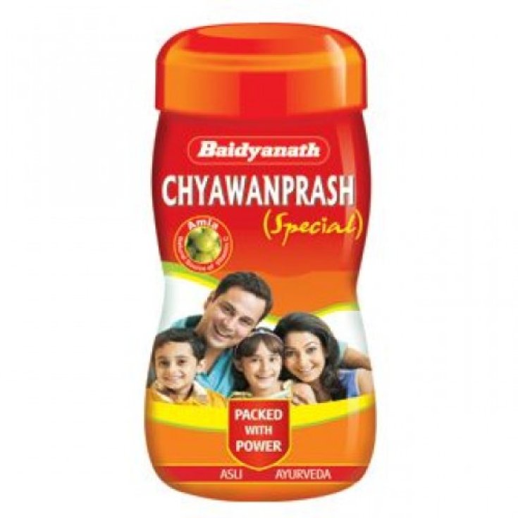 Baidyanath Chyawanprash Special Food Supplement 500g