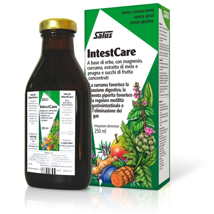 Salus Haus IntestCare Liquid 250ml