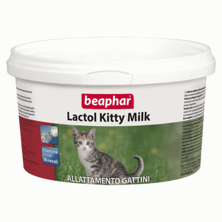 Lactol kitten shop milk powder