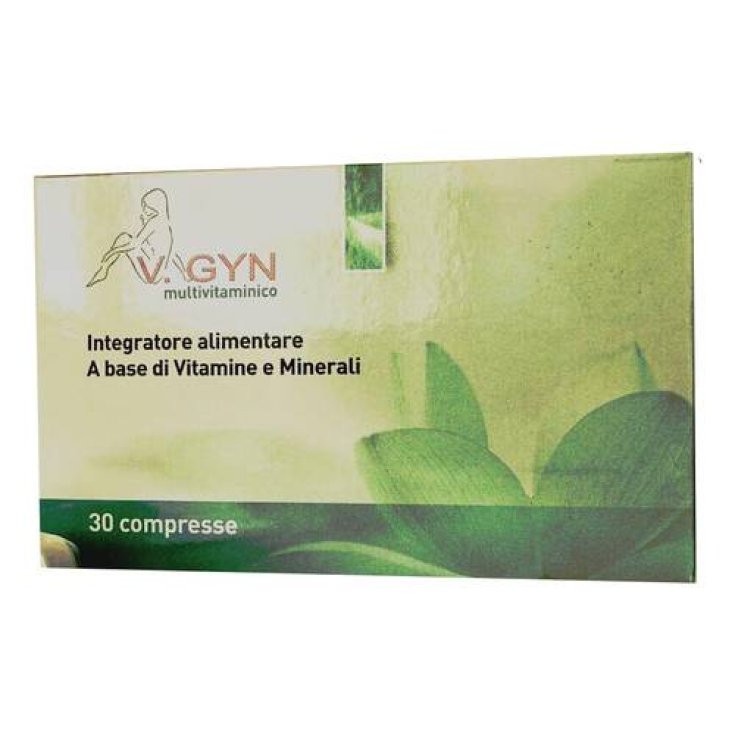 V.Gyn Multivitamin Food Supplement 30 Capsules
