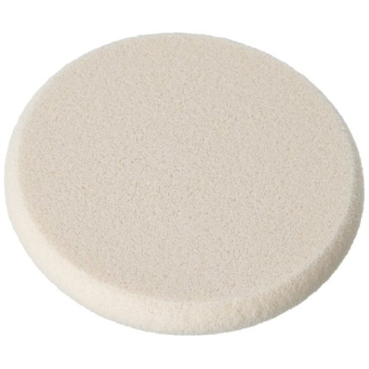 Sensai Total Finish Foundation Sponge Sensai Total Finish Foundation Sponge