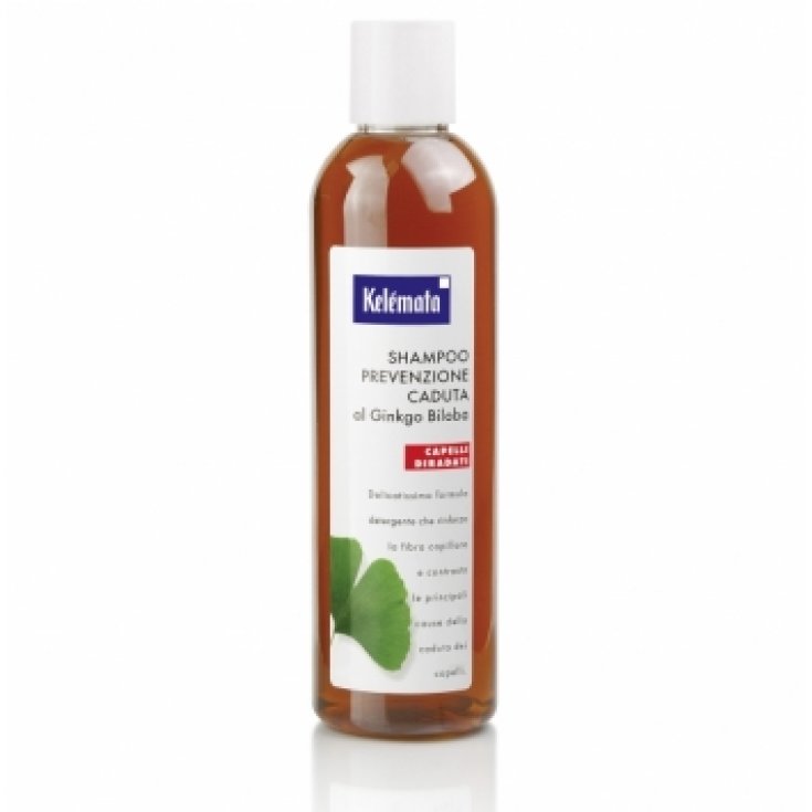 Kelemata Ginkgo Biloba Anti Hair Loss Prevention Shampoo 250ml