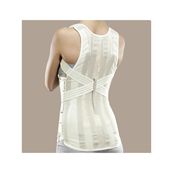 Ro + ten Sat36 Semi-rigid Shoulder Strap Bust With Elastic Ties Woman PR1-1636H Color Cream Size M