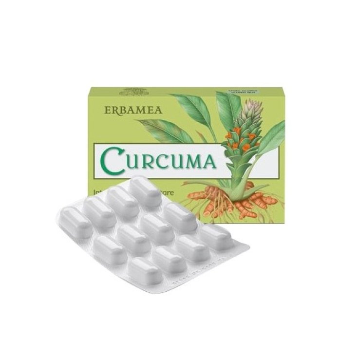 Erbamea Curcuma Food supplement 12g