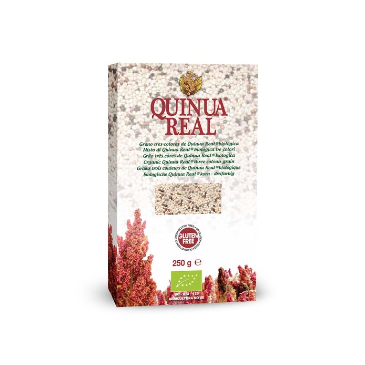 Quinua Real Mix Quinoa Three Colors Bio 250g