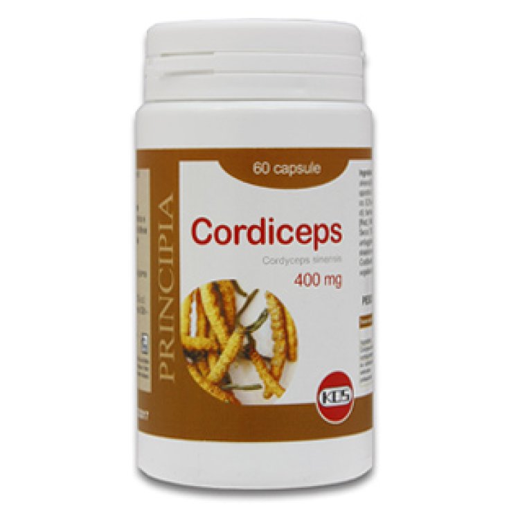 Kos Cordiceps Dry Extract Food Supplement 60 Capsules