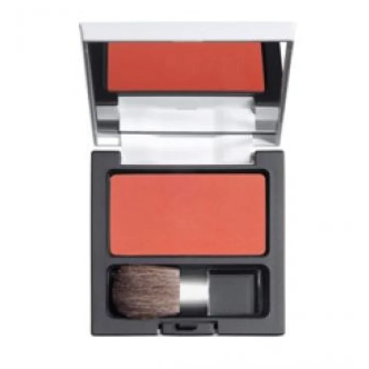 DDP COMPACT POWDER X CHEEKS 10