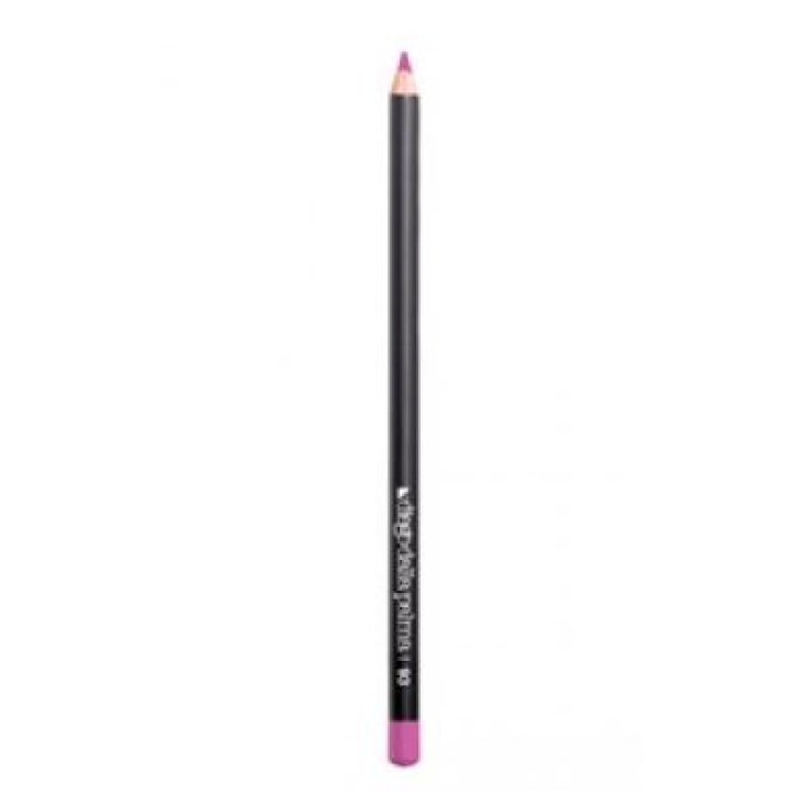 DDP LIP PENCIL 93