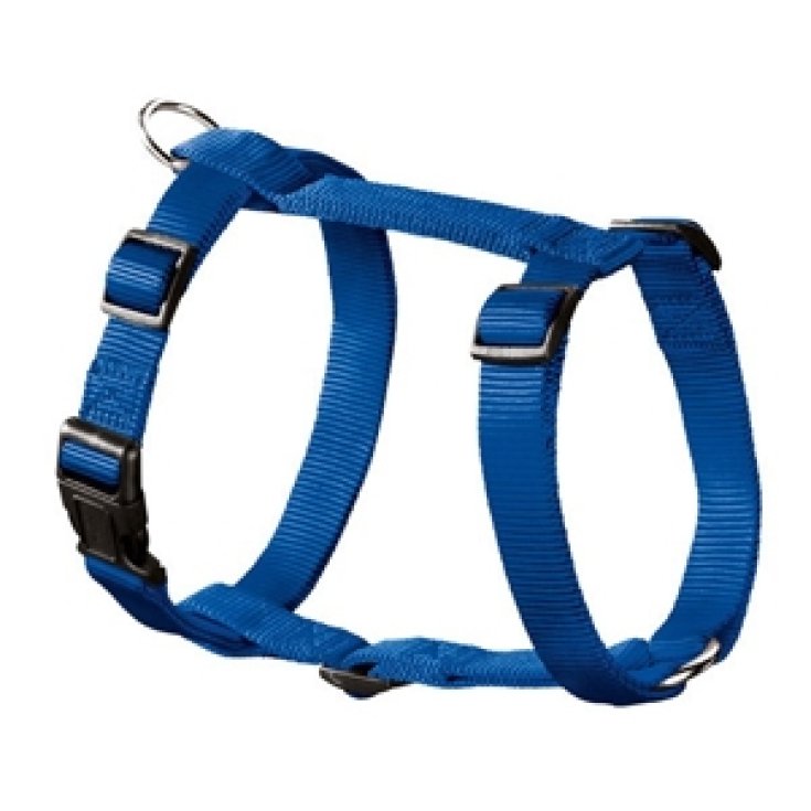 Hunter International GMBH Harness Ecco Sport Rapid Dog Harness Size L Blue Color