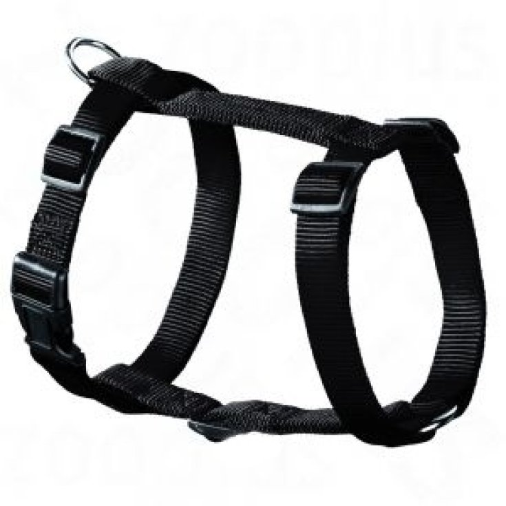 Hunter Harness Ecco Sport Rapid Collar Size L Color Black