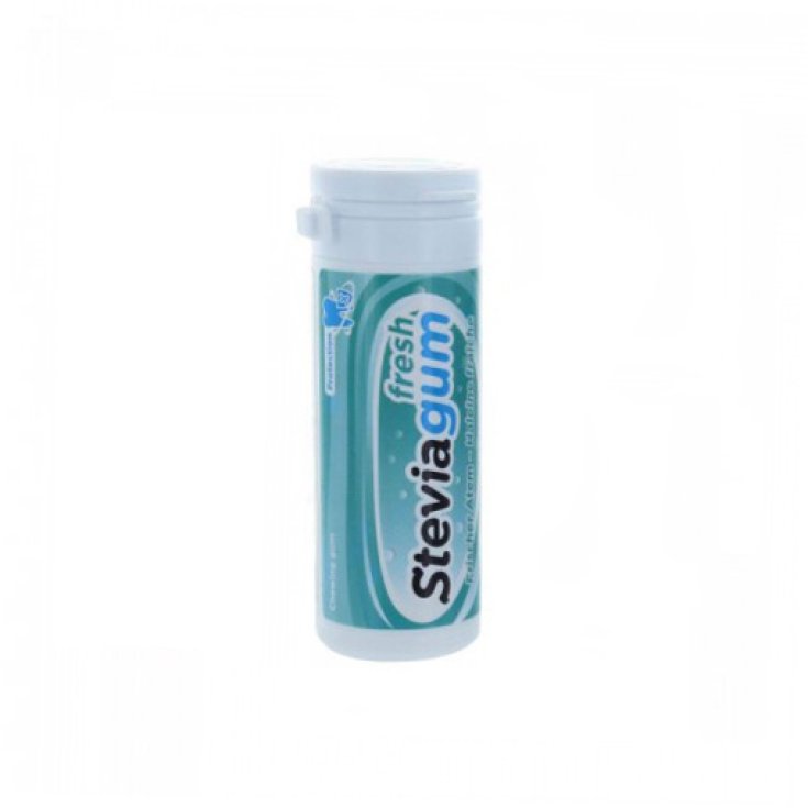Stevia Gum Fresh Chewing Gum 30g