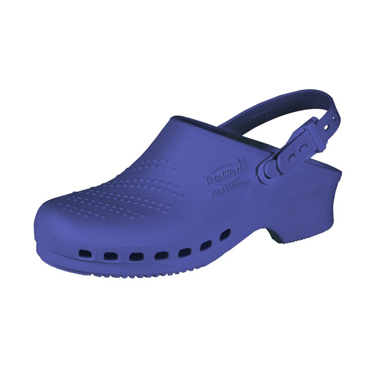 Tecniwork Professional Blue Clog 40/41