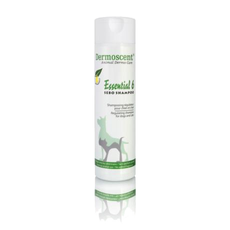 Dermoscent Essential 6 Sebum Shampoo For Pets 200ml