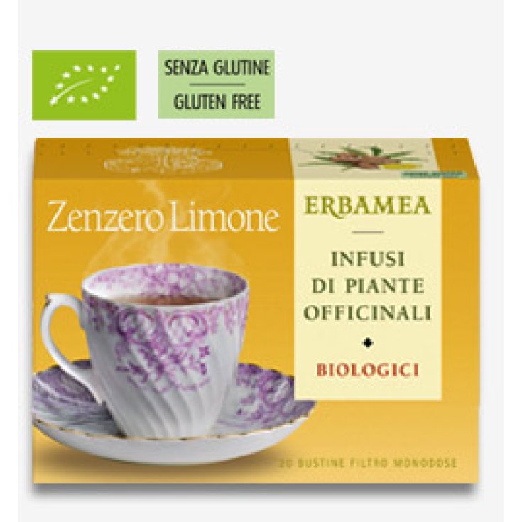 Erbamea Organic Ginger And Lemon 20 Bustinec