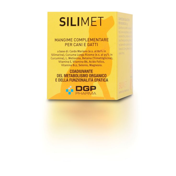 DGP Silimet Food Supplement 60g