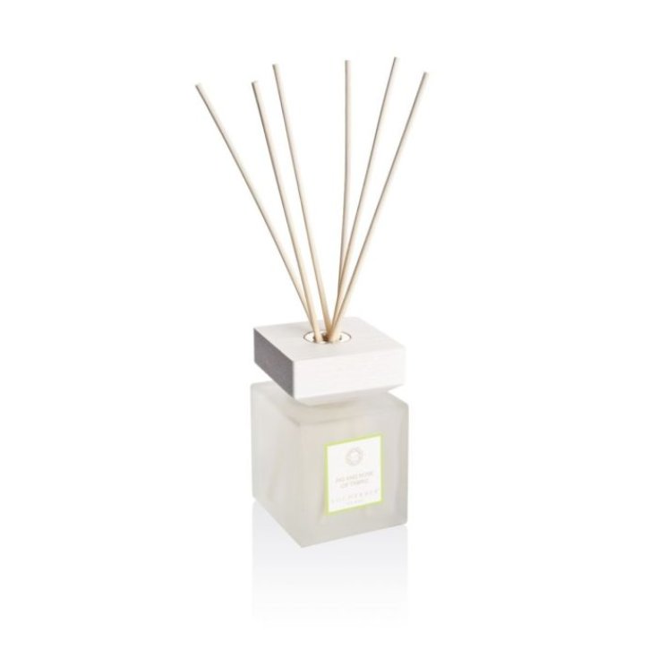 Cosval Group Fig And Rose Of Tabriz Wooden Diffuser 100ml
