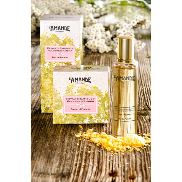 L'Amande Petali Di Sambuco Amber Powder Body Cream 300ml