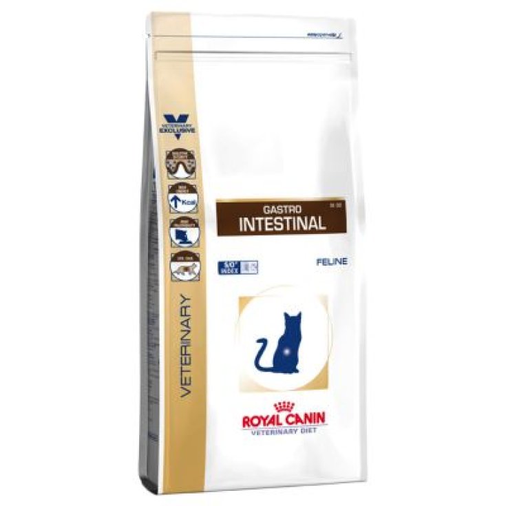 Royal Canin Veterinery Diet Gastro Intestinal Feline Dry Cat Food 4kg
