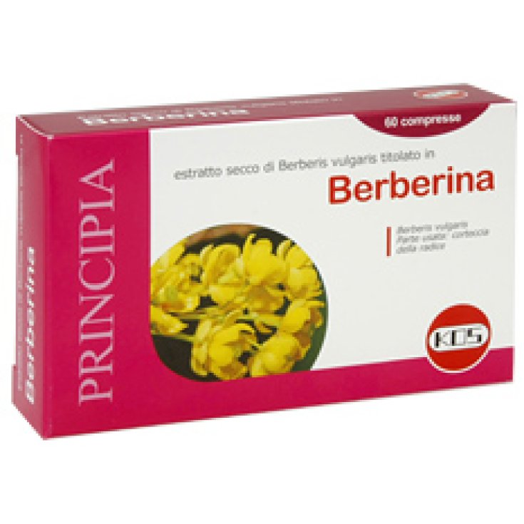 Kos Berberine Dry Extract Food Supplement 60 Tablets