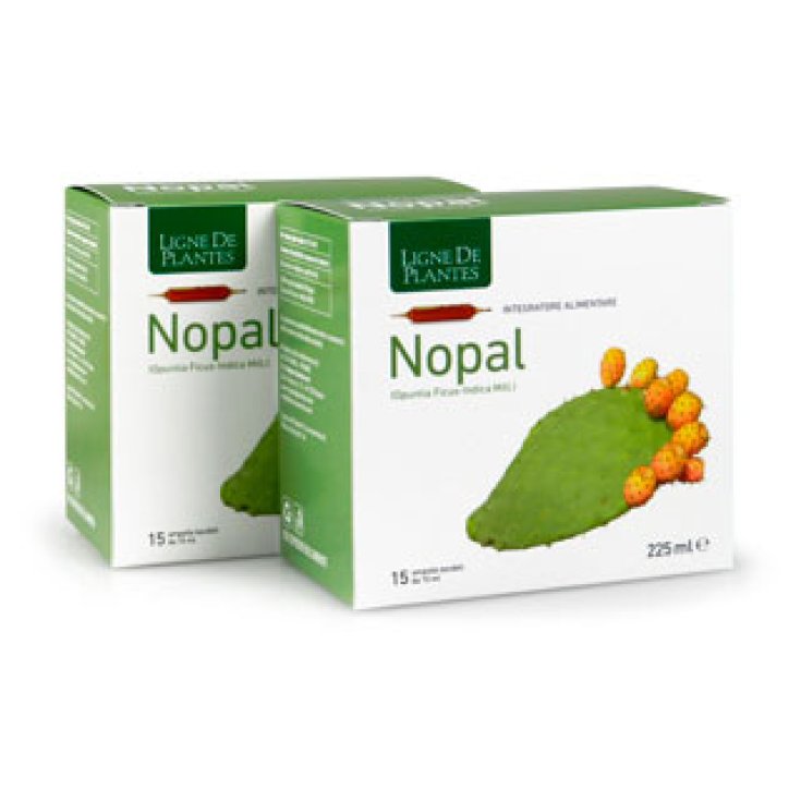 Ligne De Plantes Nopal Food Supplement 15 Ampoules Of 15ml