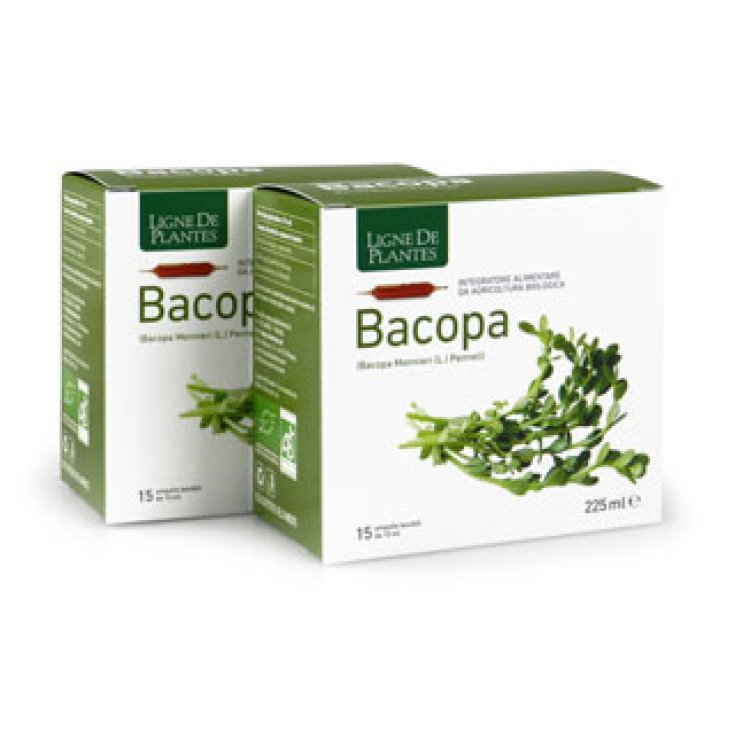 Ligne De Plantes Bacopa Food Supplement 15 Ampoules Of 15ml