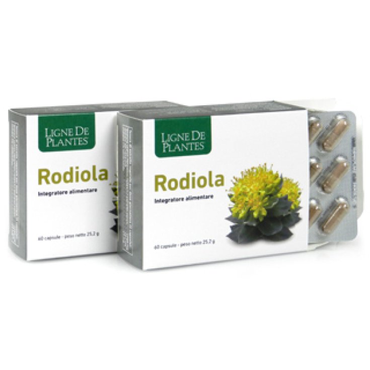 Ligne De Plantes Rodiola Food Supplement 45 Capsules
