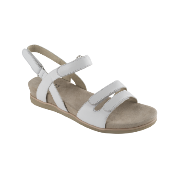 Scholl Canova Leather White Color Size 39