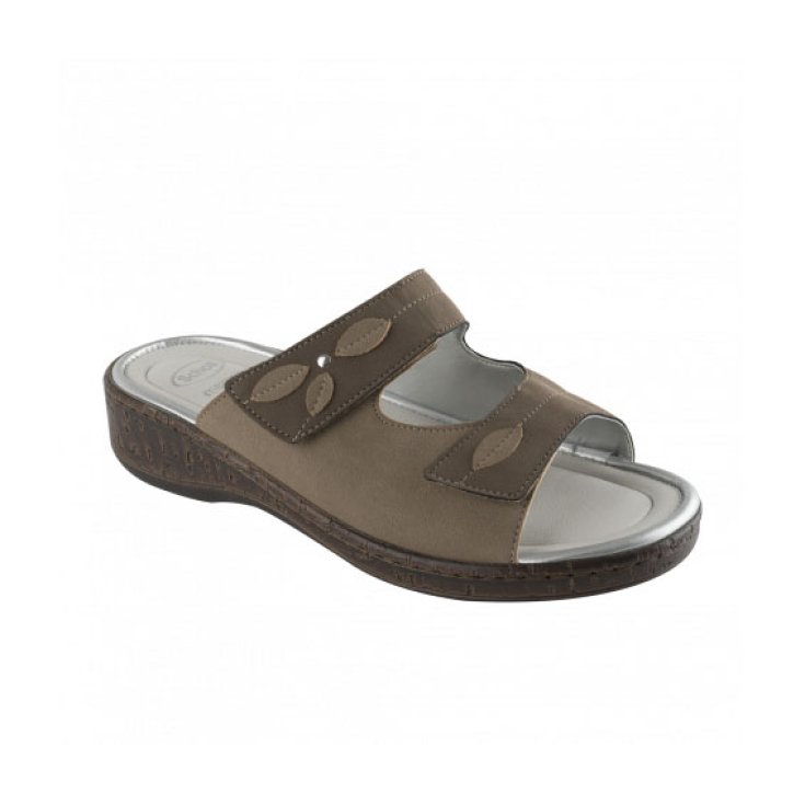 Scholl Rosca Woman Slipper Brown Color Size 40