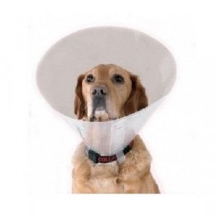 Proficol Transparent Elizabethan Collar for Dogs Size S 12.5cm