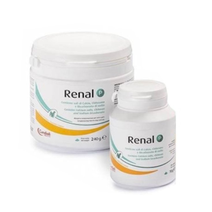 Renal P Complementary Feed For Dogs And Cats Food Supplement Veterinary Use 70g