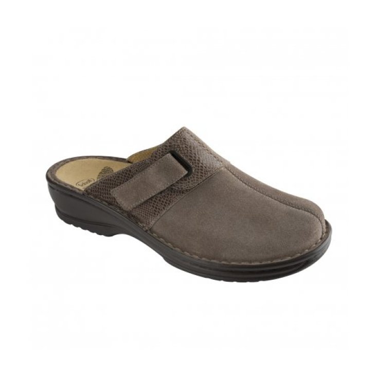 Scholl Iraty Suede Shoe Taupe Color Number 35